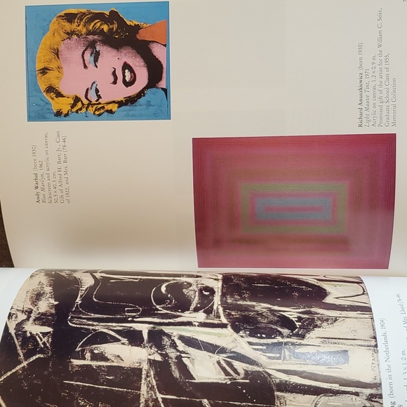 The Art Museum Princeton University Hardcover Book - Picture 12 of 16